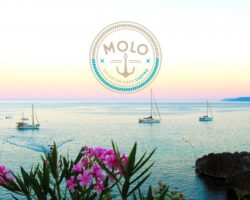 Molo